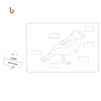 Nessuna immagine impostata 